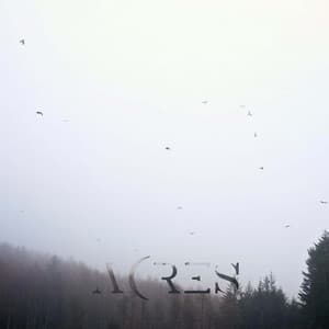 Single: Solace
