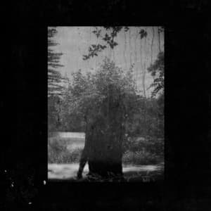 Album: Ruins