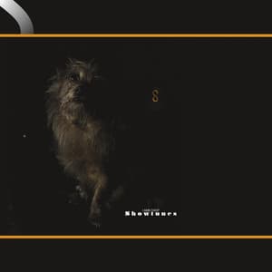Album: Showtunes