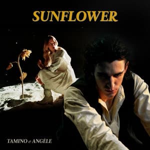 Single: Sunflower