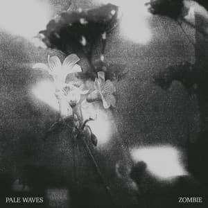 Single: Zombie