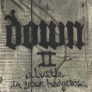 Album: Down II