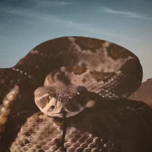 Single: The Texas Rattlesnake