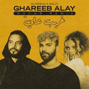 Single: Ghareeb Alay (R3HAB Remix)