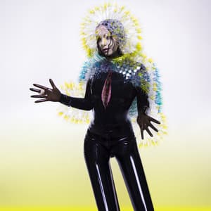 Album: Vulnicura