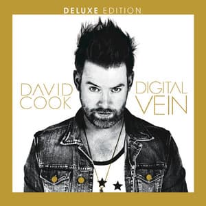 Album: Digital Vein (Deluxe Version)