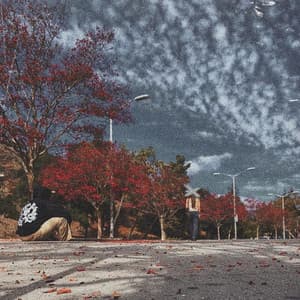 Album: a one-sided love story