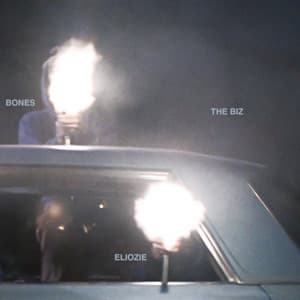 Single: TheBiz