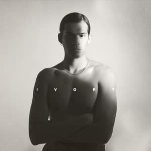 Single: Evergreen (You Didn't Deserve Me At All) [Stripped]