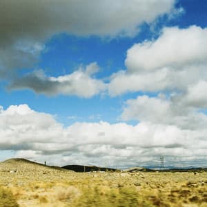Single: Laws of the Land (feat. Quelle Chris & Sleep Sinatra)