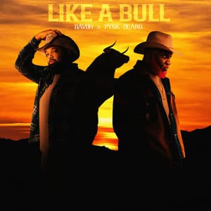 Single: Like A Bull