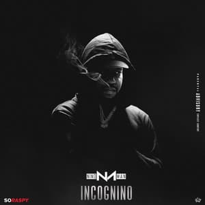 Album: Incognino