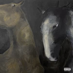 Single: a bit of a mad one