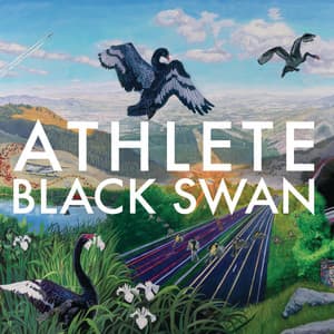 Album: Black Swan