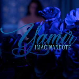 Single: Imaginándote