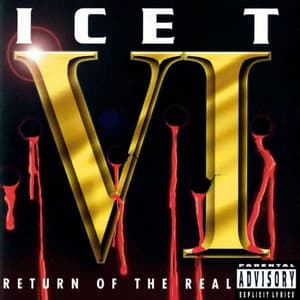 Album: VI: Return Of The Real