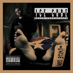 Album: Death Certificate (Complete Edition)
