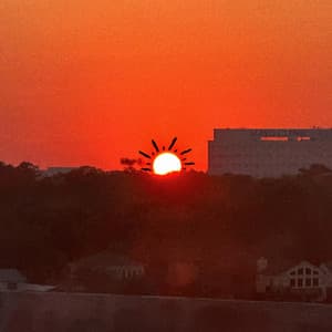 Single: sorrowful summer