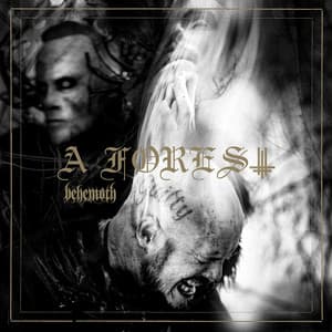 Single: A Forest
