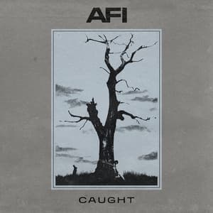 Single: Caught