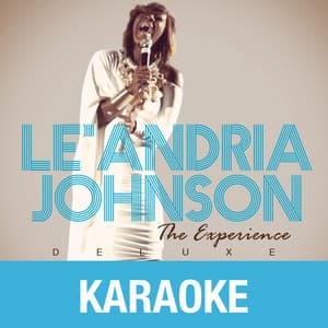 Album: The Experience (Karaoke Version)