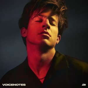 Album: Voicenotes
