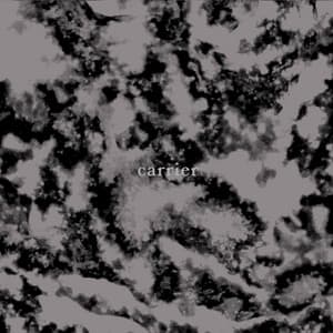 Single: Carrier