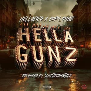 Single: Hella Gunz