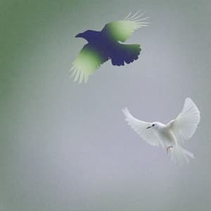 Single: Shallow Water