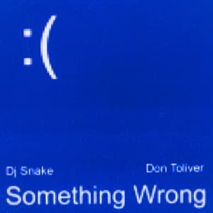 Single: Something Wrong (with Don Toliver)