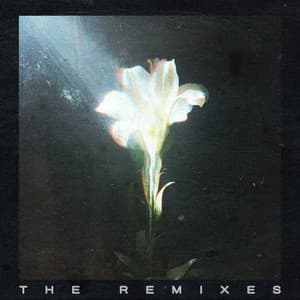 Single: Light That Leads Me (The Remixes)