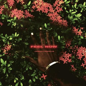 Single: Feel Now