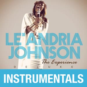 Album: The Experience (Instrumentals)