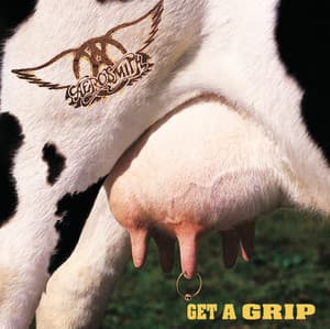 Album: Get A Grip