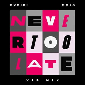 Single: Never Too Late (VIP Mix)