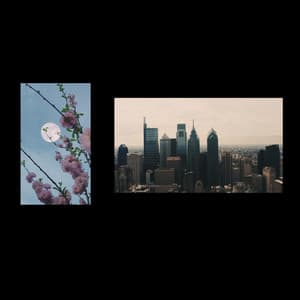 Single: Ship of Theseus
