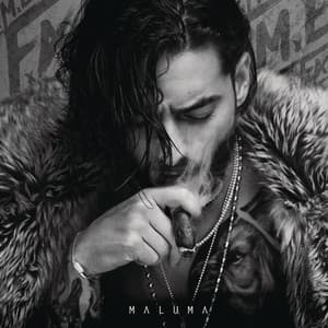 Album: F.A.M.E.