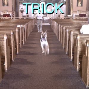 Album: Trick