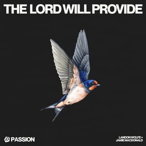Single: The Lord Will Provide (with Jamie MacDonald)