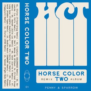 Album: Horse Color Two