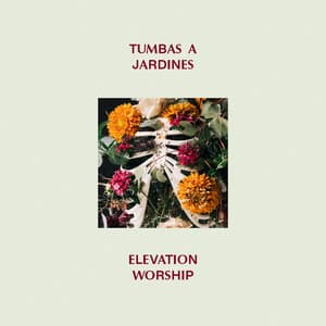 Album: Tumbas A Jardines