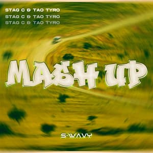 Single: Mash Up