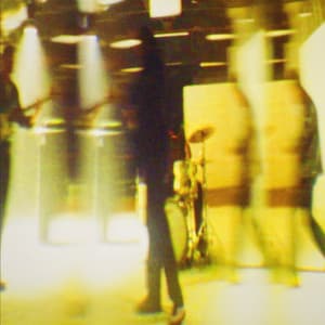 Single: Into The Wild