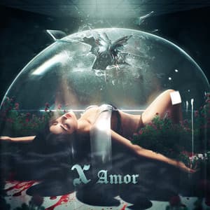 Album: X Amor