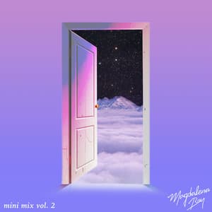 Album: mini mix vol. 2
