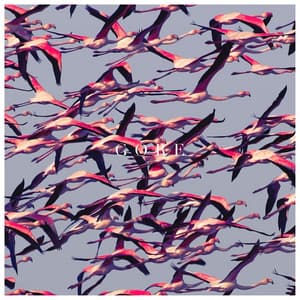 Album: Gore