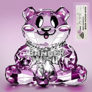 Album: Nur Noch Nice