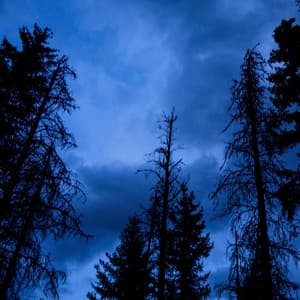 Single: Light Of Day