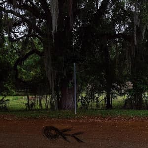 Single: if i die at least i lived