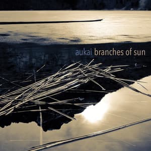 Album: Branches of Sun